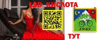 эйфоретик Краснокаменск