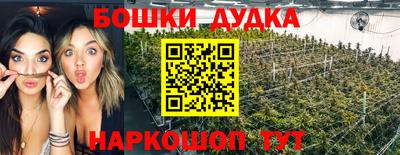 apvp Краснознаменск