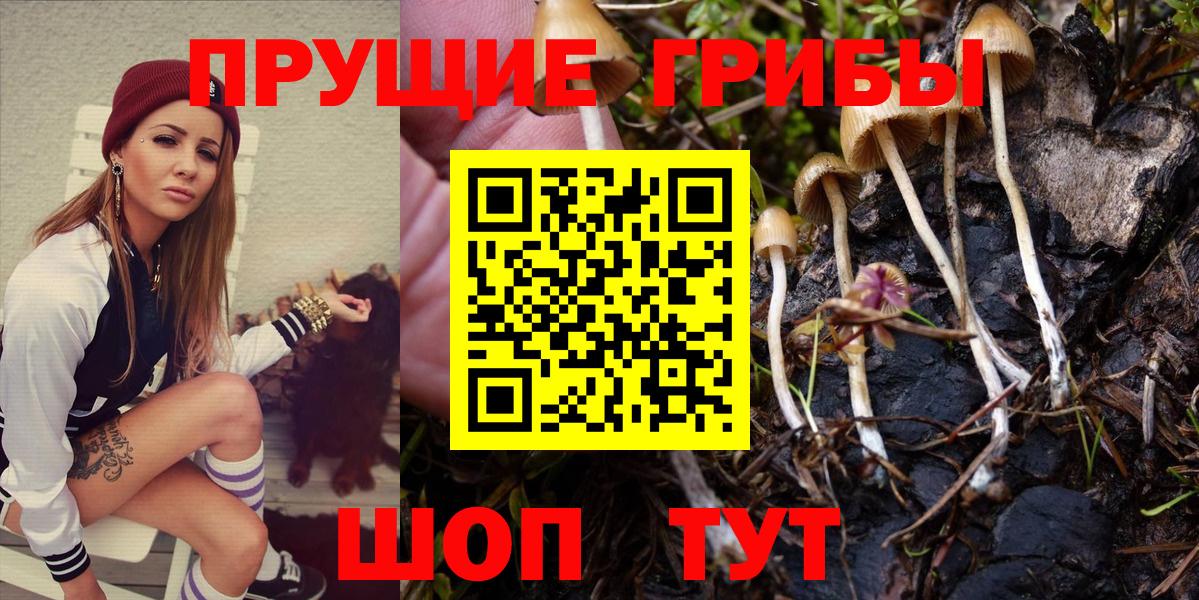 Галлюциногенные грибы Psilocybine cubensis  Псилоцибиновые грибы MAGIC MUSHROOMS  Касимов  Вход с VPN 