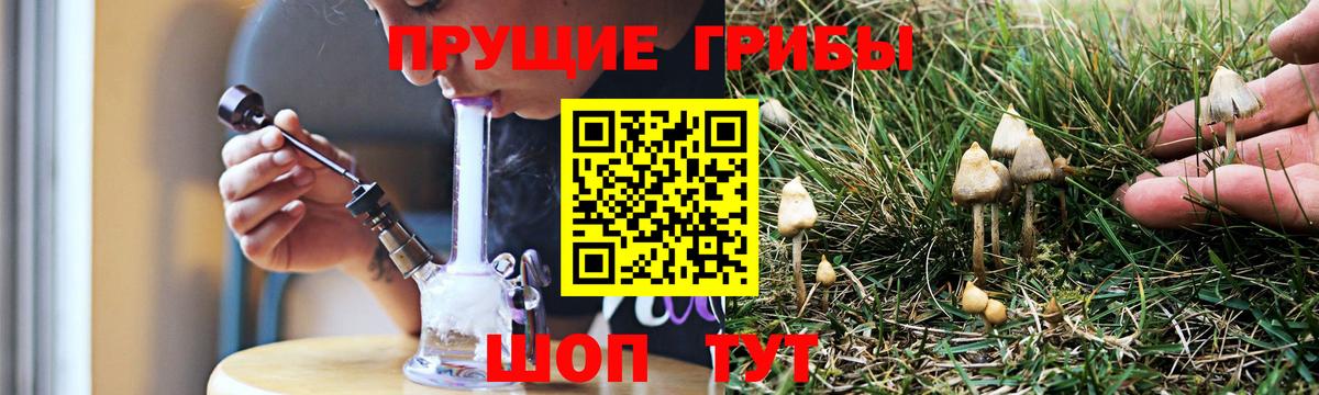 Галлюциногенные грибы Cubensis Касимов